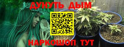 мяу мяу мука Кулебаки