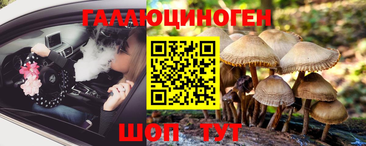 Псилоцибиновые грибы MAGIC MUSHROOMS Домодедово